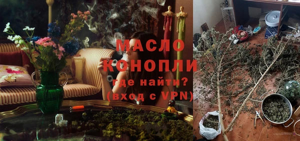 молекула духа Лабытнанги