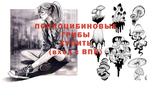 твердый Лагань
