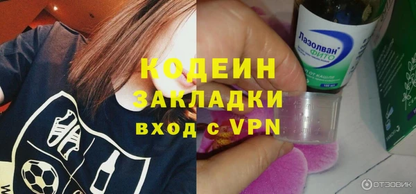 твердый Лагань