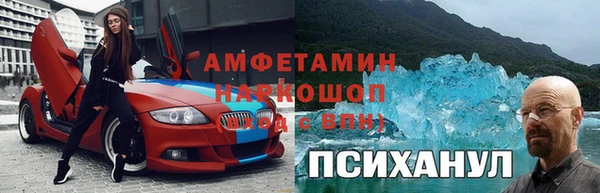 молекула духа Лабытнанги