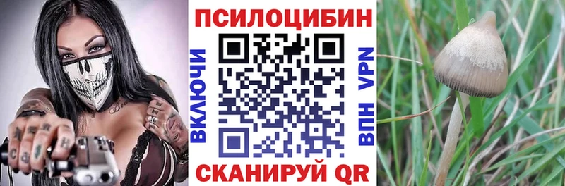 Купить закладки  Урюпинск  Псилоцибиновые грибы Psilocybine cubensis 